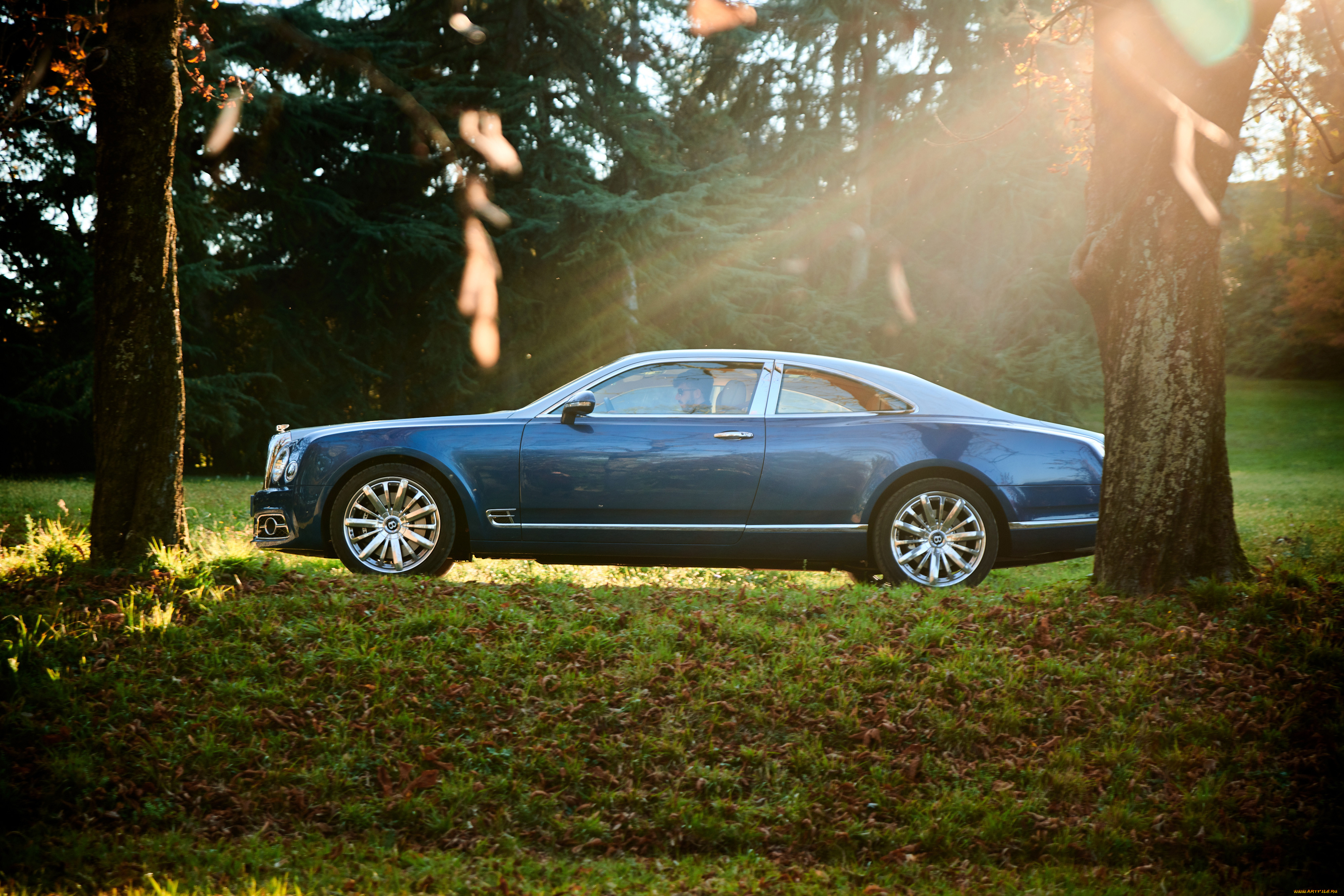 , bentley